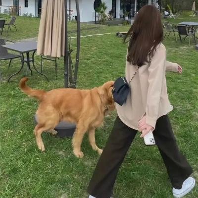 唐伯虎点秋香